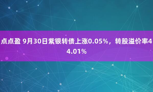 点点盈 9月30日紫银转债上涨0.05%,转股溢价率44.01%